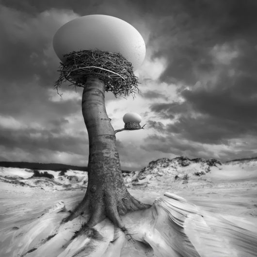Amazing Surreal Photo Manipulations