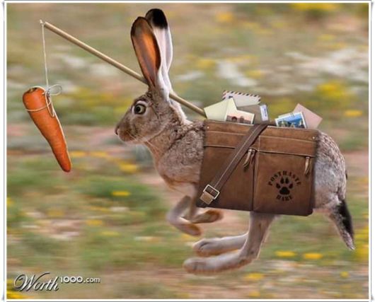 Amazing Things Which Are Pretty Useless