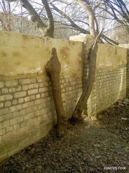 Hilariously Clever Engineering Solutions