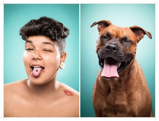 Finding Similarities Between Dogs And Humans