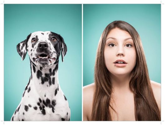 Finding Similarities Between Dogs And Humans