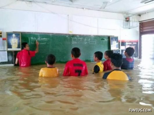 Dedicated or Fanatic? Here's How Not to Study