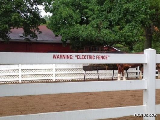 Ordinary Signs Look Suspicious Bcoz Of Quotation Marks