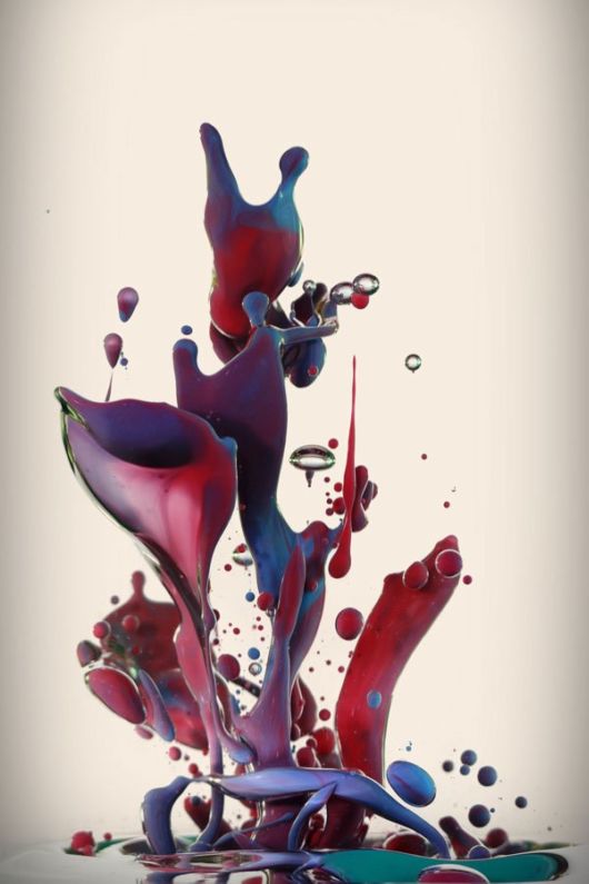 Amazing Flowers Of Paint And Water