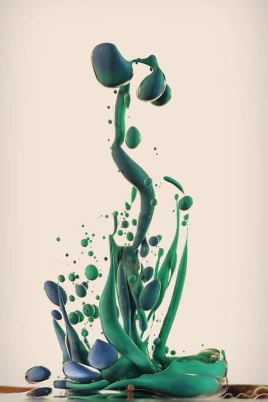 Amazing Flowers Of Paint And Water