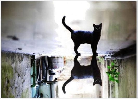 Interesting Cool Pictures Gallery