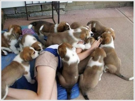 Interesting Cool Pictures Gallery