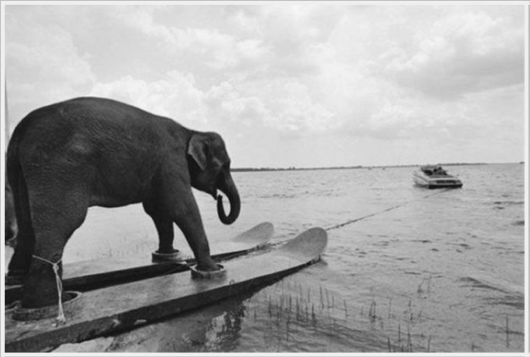 Interesting Cool Pictures Gallery