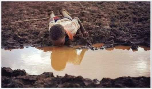 Interesting Cool Pictures Gallery