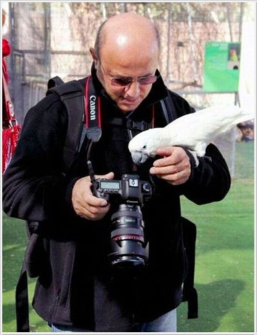 Interesting Cool Pictures Gallery