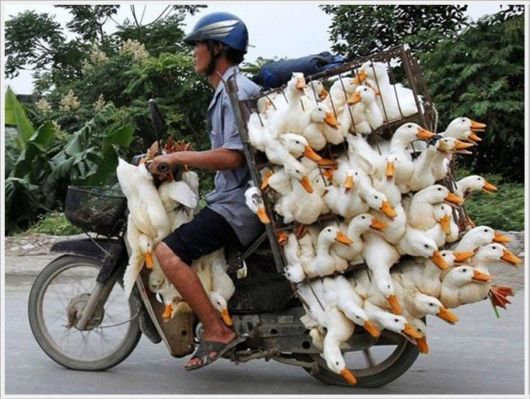 Interesting Cool Pictures Gallery