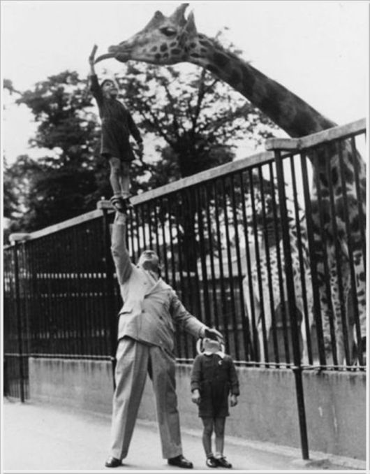 Interesting Cool Pictures Gallery