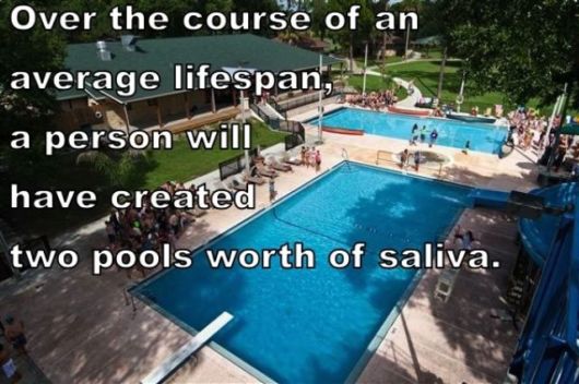 Astounding Facts About Human Body