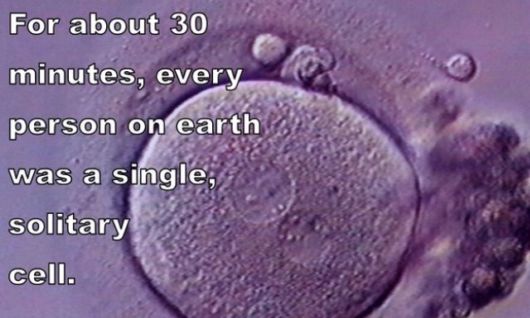 Astounding Facts About Human Body