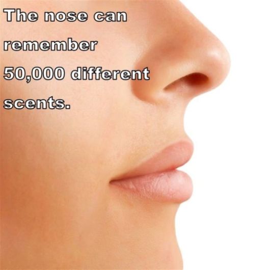 Astounding Facts About Human Body