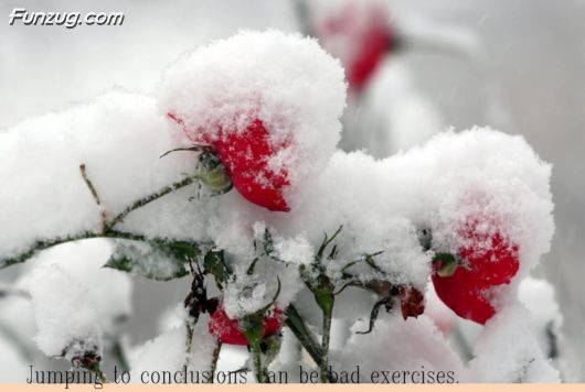 Some Words Of Knowledge