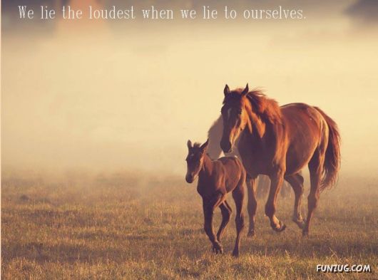 Some Words Of Knowledge