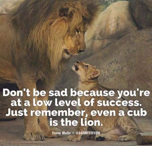 Ultimate Motivational Quotes For Everyone