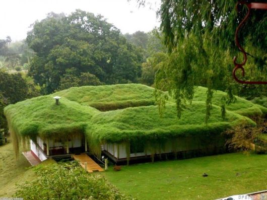 Beautiful Green Grass Roofs In Norway