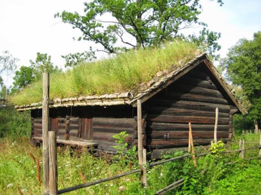 Beautiful Green Grass Roofs In Norway