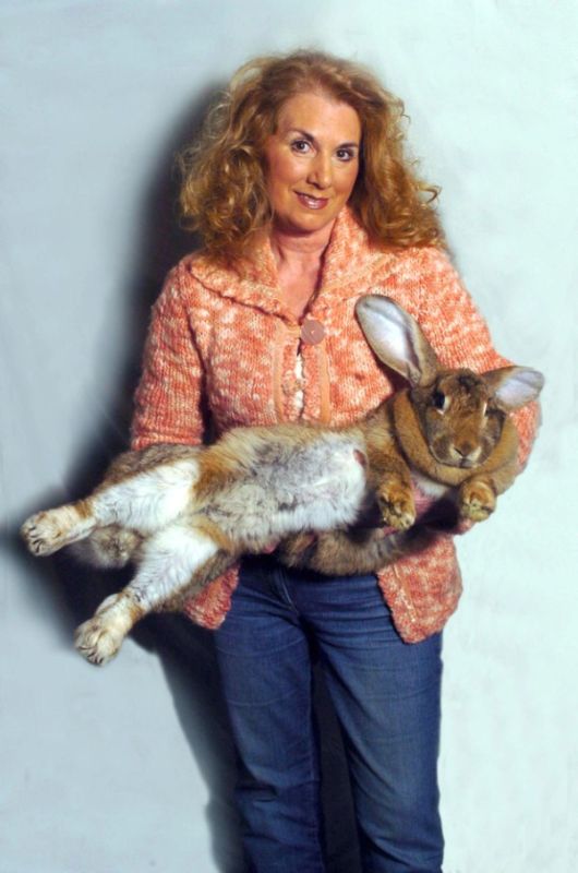 Worlds Largest Rabbit Breed