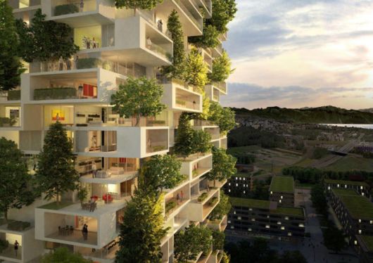 384ft Tall Apartment Covered In Evergreen Trees